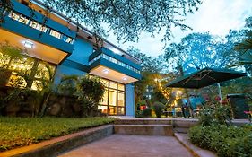 Pangolin Nest Boutique Hotel